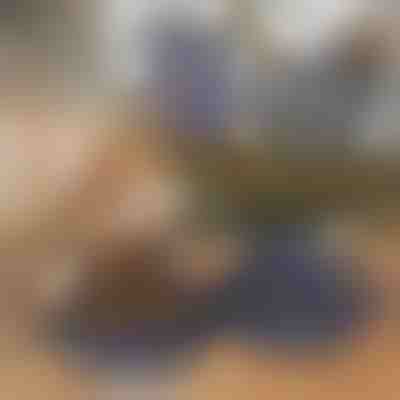 Skladacia miska 2 v 1 na jedlo a vodu pre domáce zvieratá | WOOFDISH