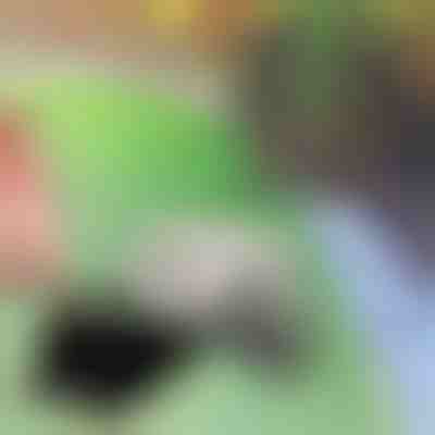 Skrýš na kľúče | KEYBLEND