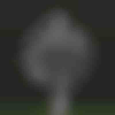 Kinetický veterný mlyn | WINDARA