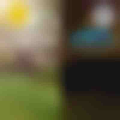 Solárne tropické záhradné svetlá | LUMIPALM